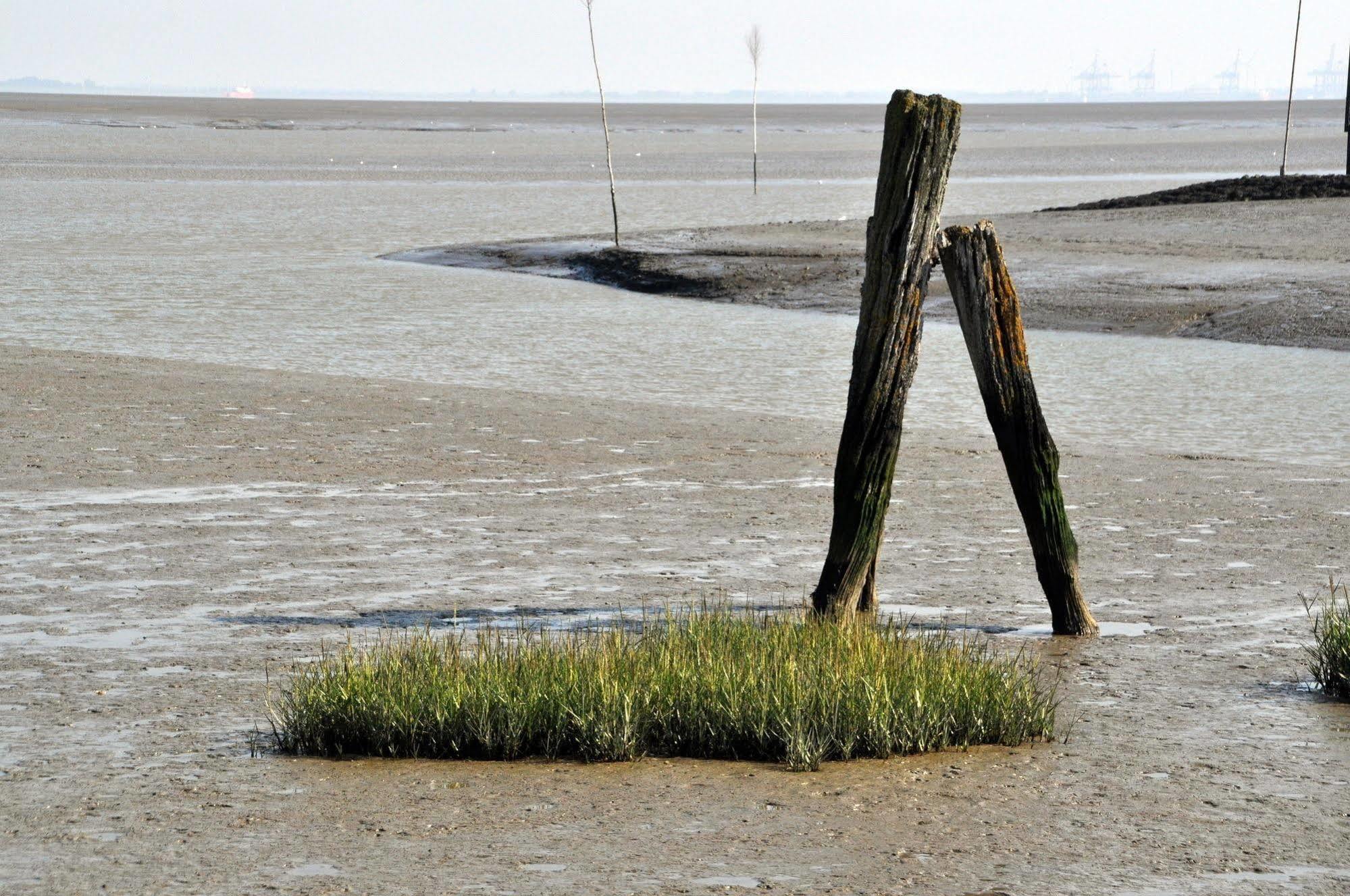 Strand Hotel Nordsee, Hotel Deichlaeufer Tossens Exteriér fotografie